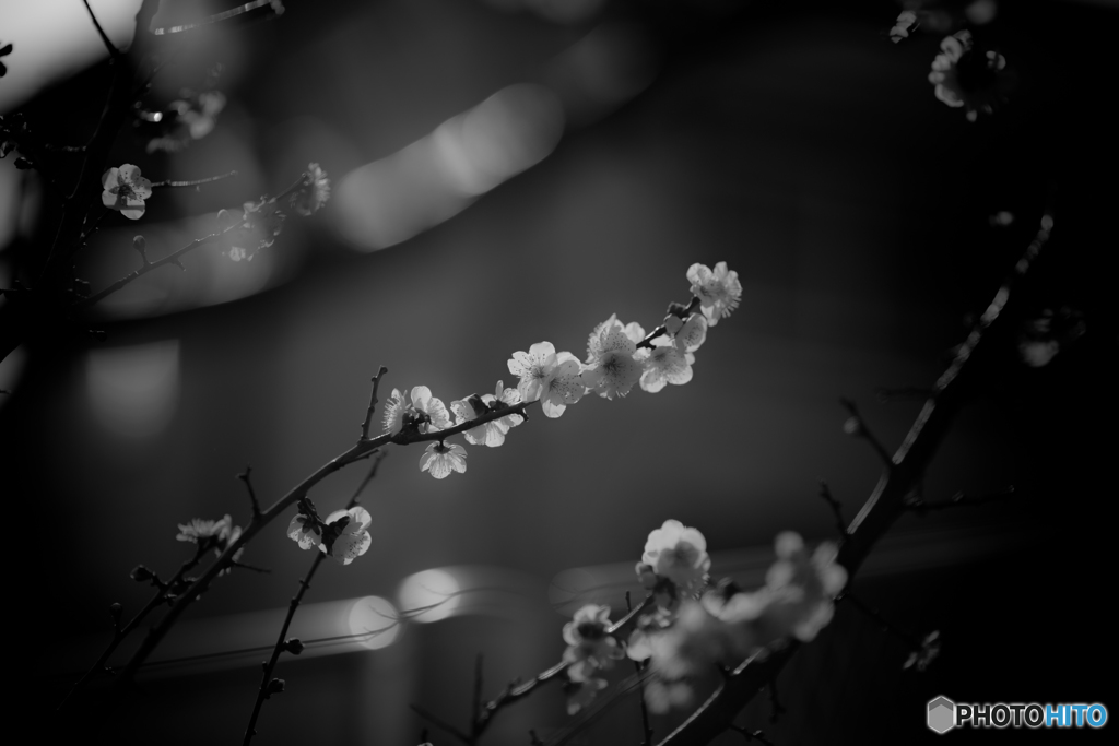 いい塩梅 #4
