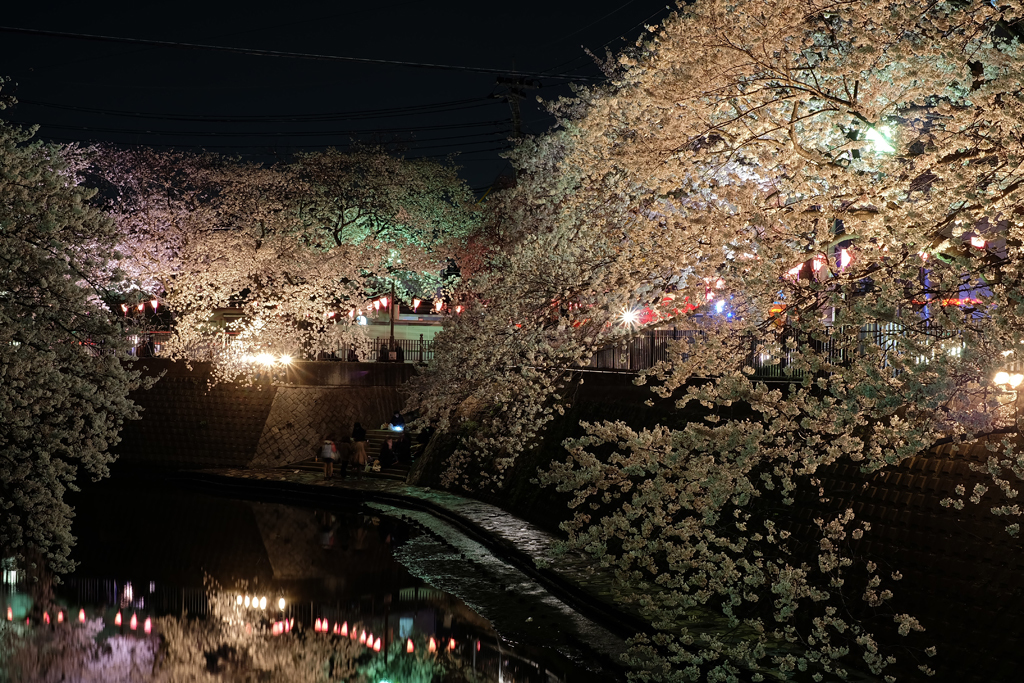2014大岡川お花見散歩 19