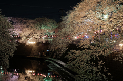 2014大岡川お花見散歩 19