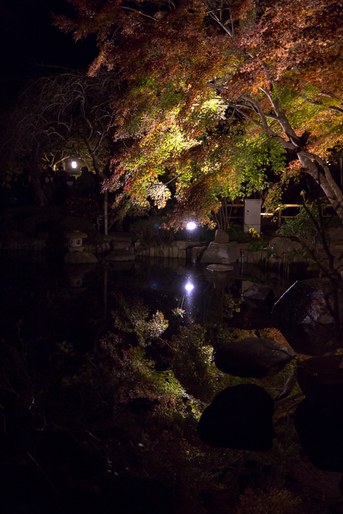 鎌倉長谷寺　紅葉ライトアップ8