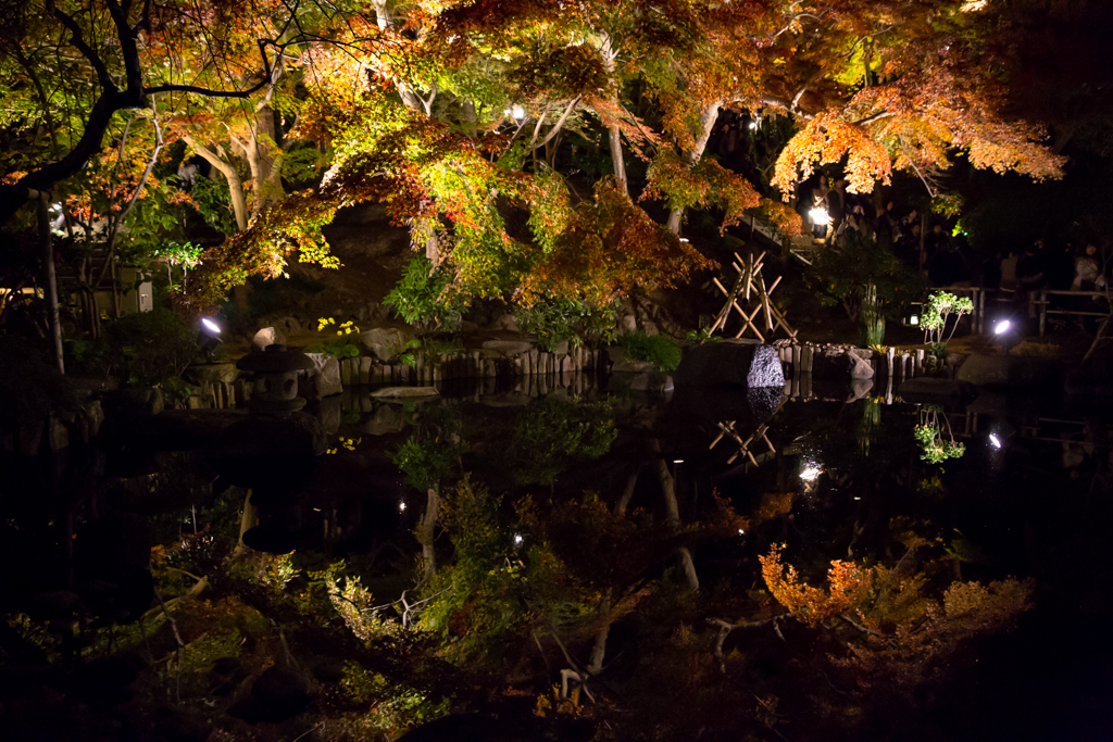 鎌倉長谷寺　紅葉ライトアップ11