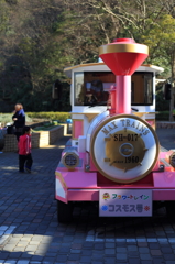 散策の友