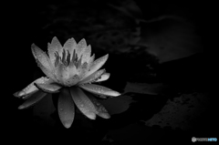 小雨模様
