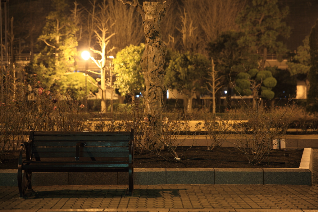 主のいないベンチ４