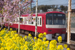 spring 3