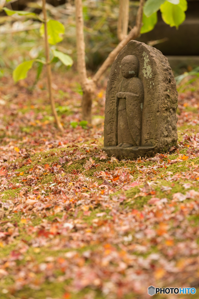 鎌倉紅葉散策@2018 円覚寺-4