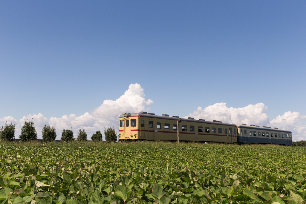 鉄道風景 6