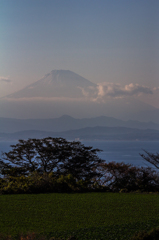 湘南国際村より4