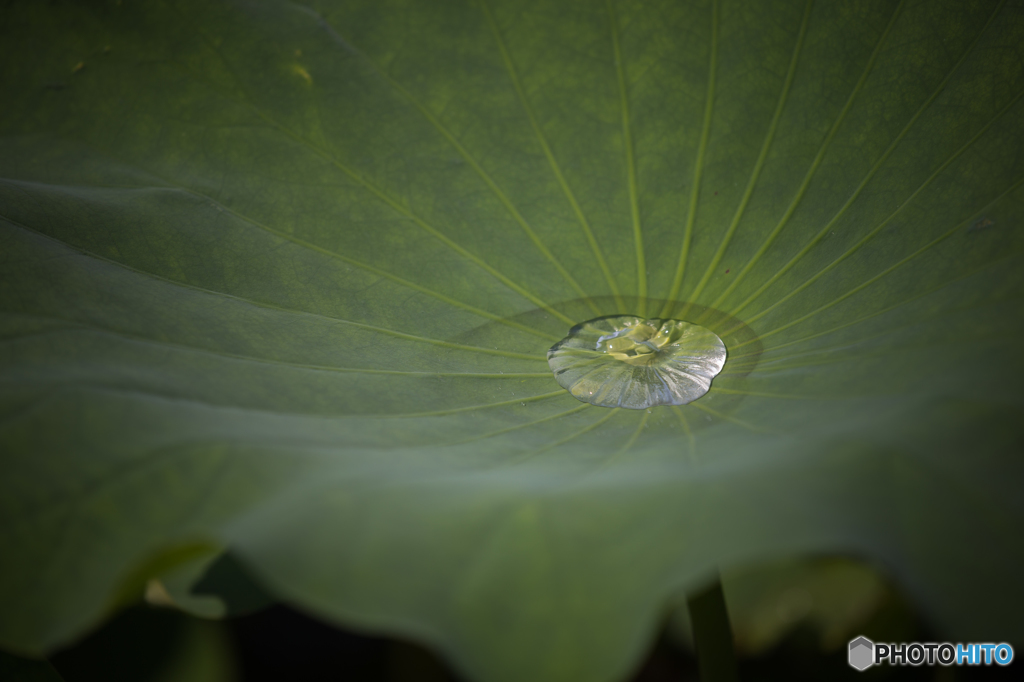 水源