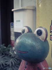 通勤カメラ試し撮り 4