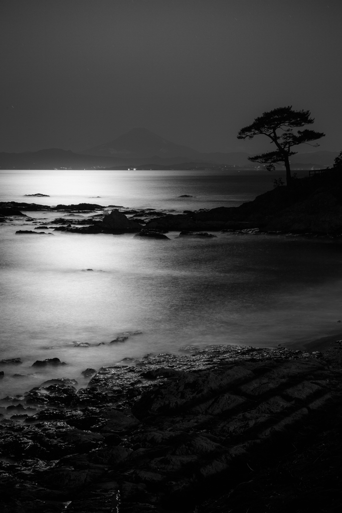 moonlight 3