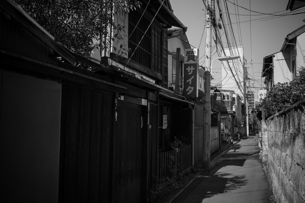 根津神社周辺散策 5