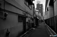 Yokohama Snap #19