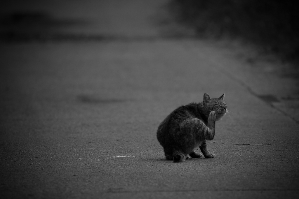 池の番人 3