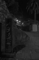早朝散歩