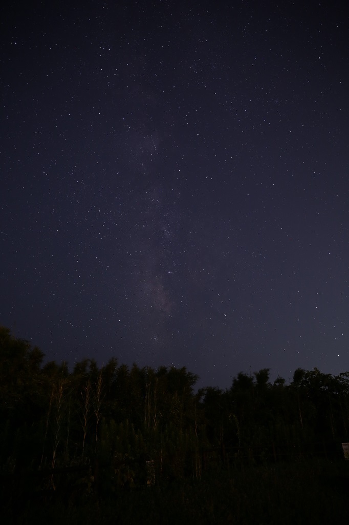 夏の夜空 3