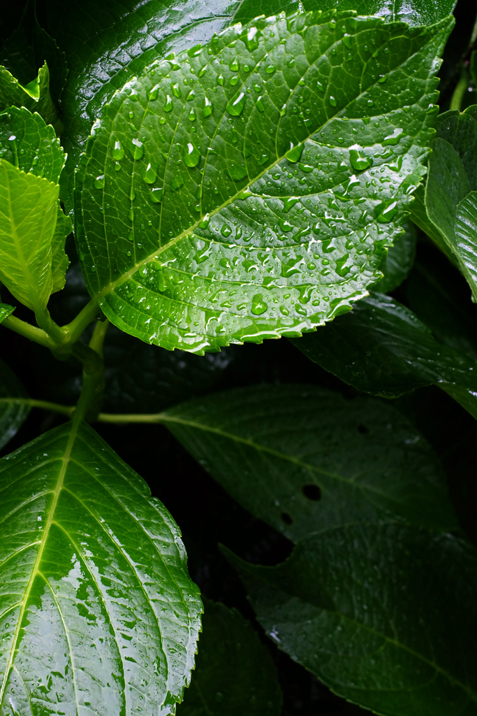雨の週末 6