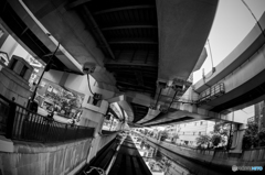 motomachi snap #2