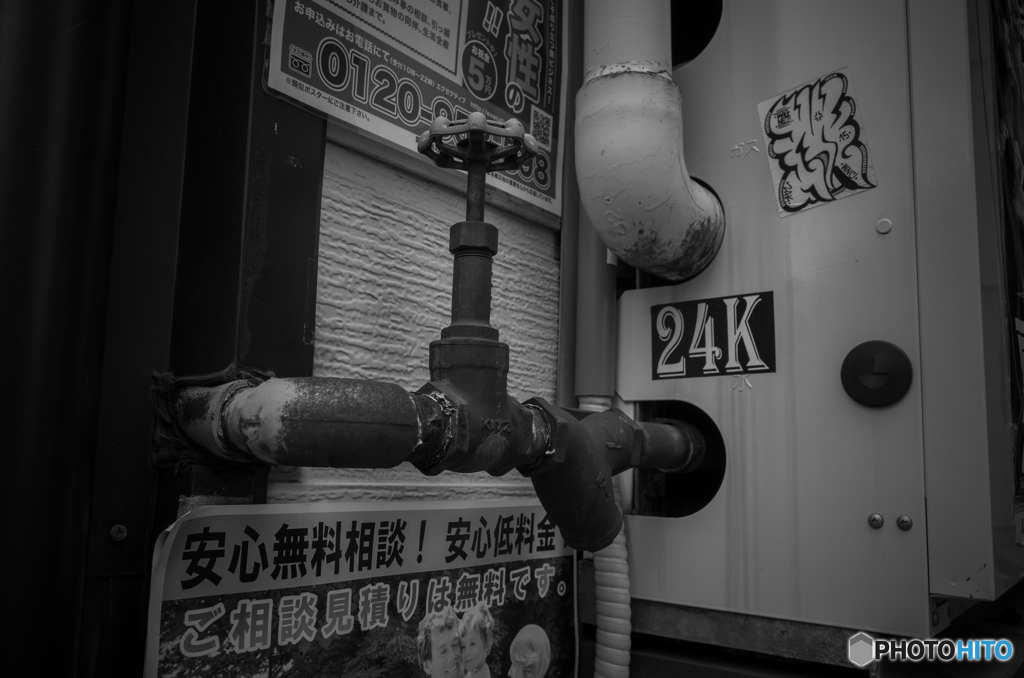 Noge Street Snap #12