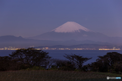 湘南国際村富士山夜景 #1