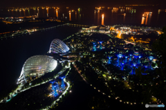 Singapore's night view #4