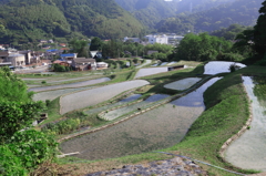 棚田のある風景