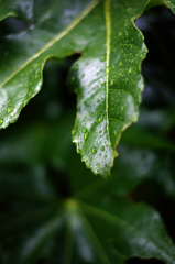 雨の週末 7