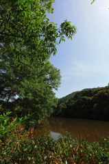 京都嵐山散策