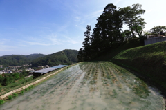 棚田のある風景3