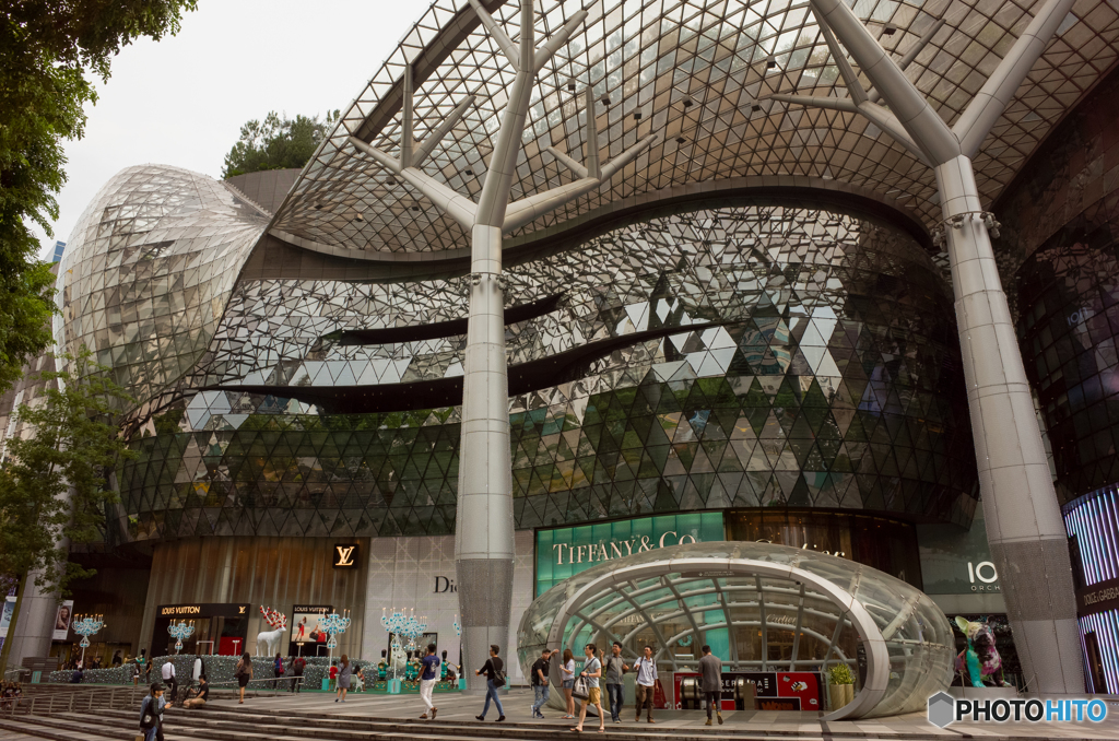 Orchard Road Snap #4