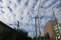 通勤路を切り取る2