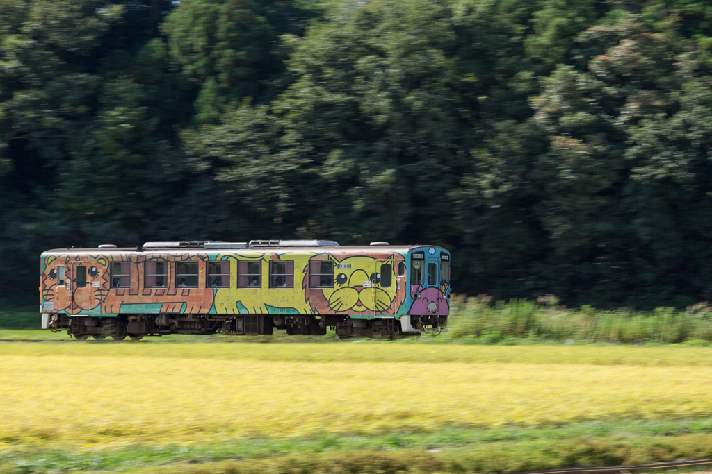 駆け抜ける