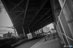Shinyokohama Snap #1