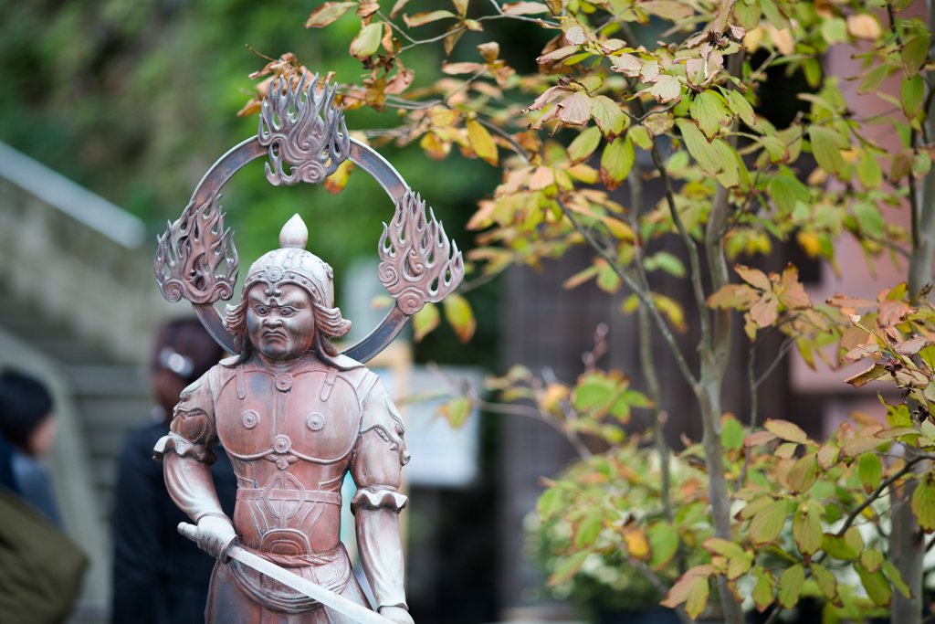 長谷寺散策7
