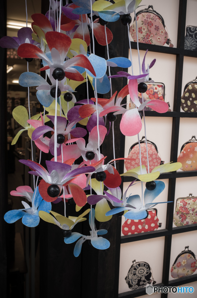 Enoshima Snap #8