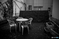Mito St Snap #11