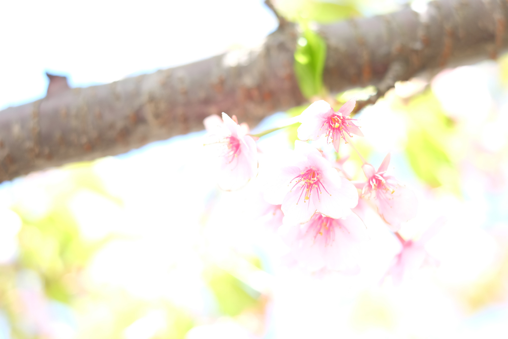 休息