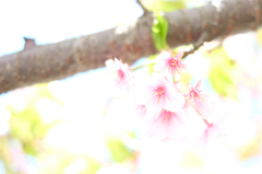 休息