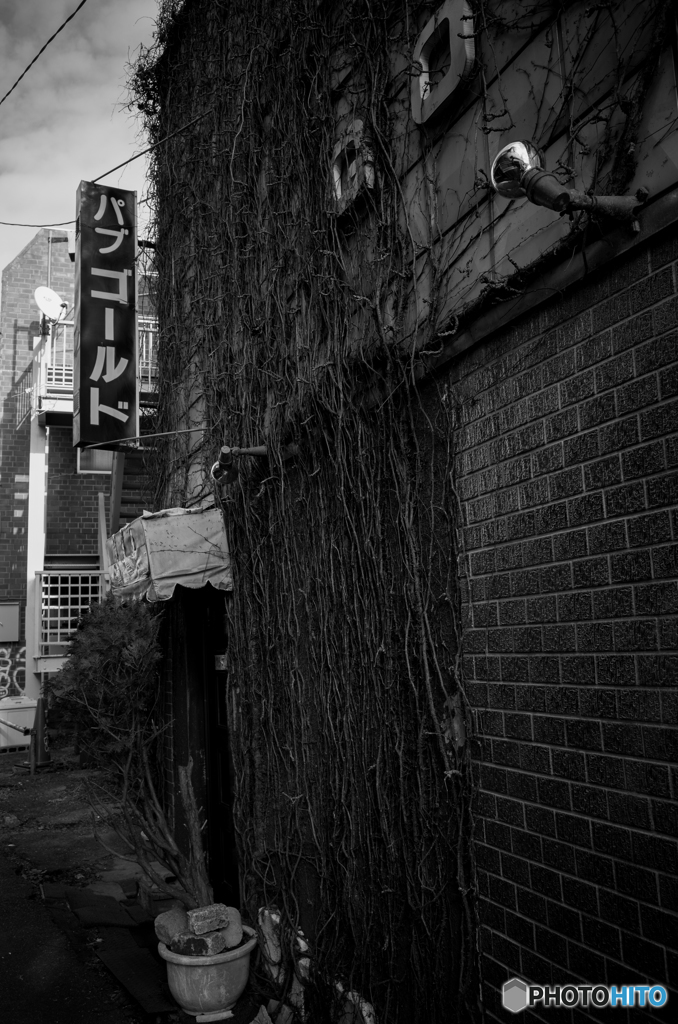 lunch snap #1