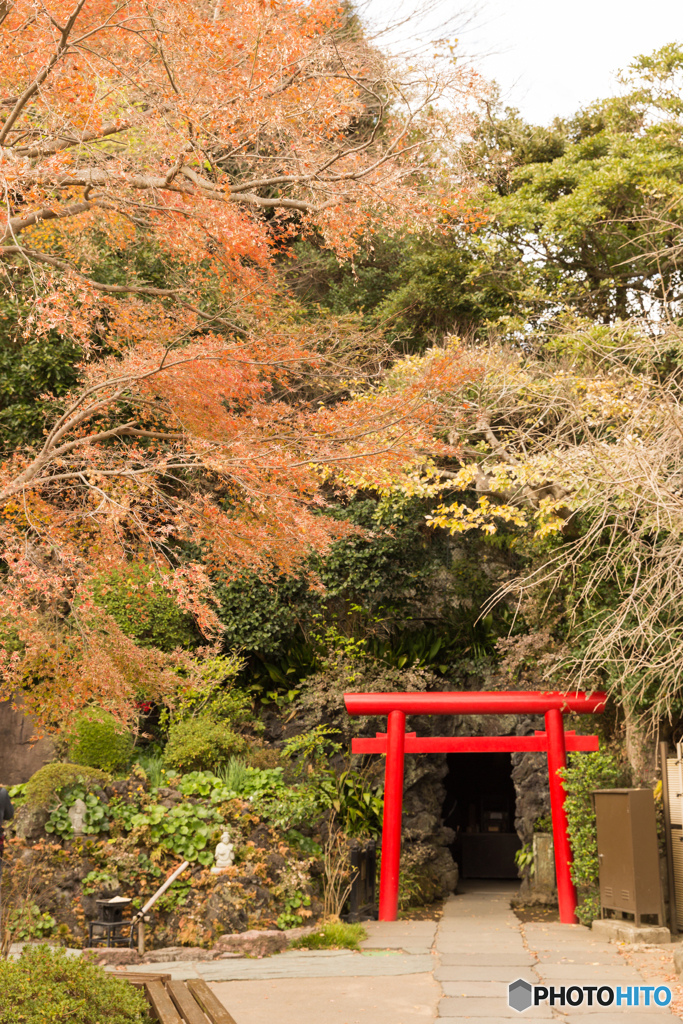 鎌倉紅葉散策@2018 長谷寺-4