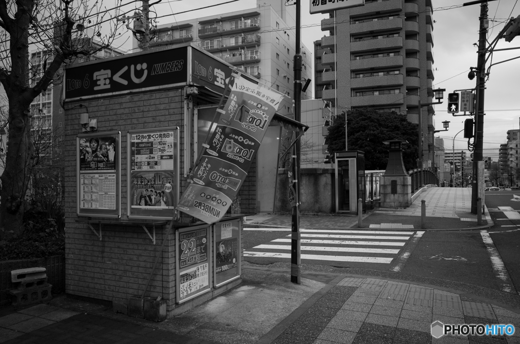 Yokohama Snap #21