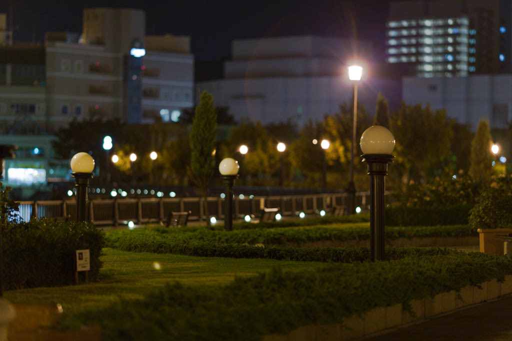 EF135mm F2L USM試写4