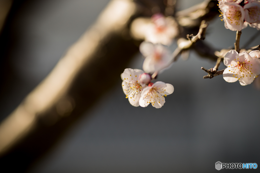 いい塩梅 #6