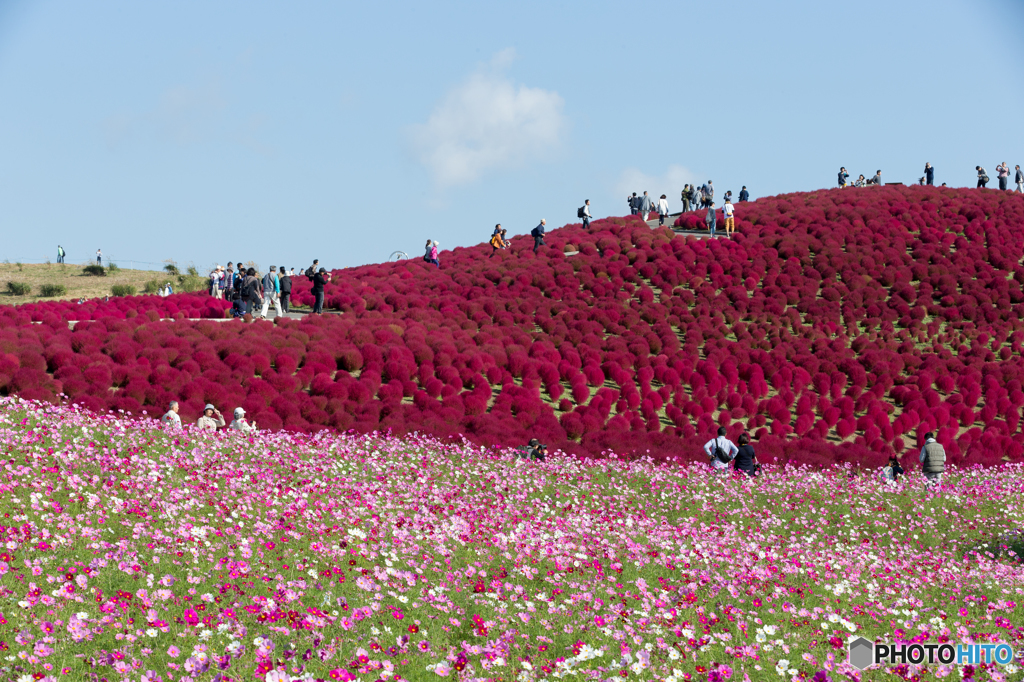 赤の丘へ