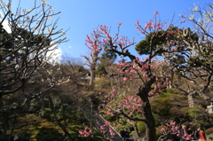 鎌倉散策10