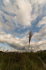 秋空 2