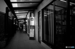 Kamakura snap #15