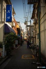 陽の当たらない路地裏