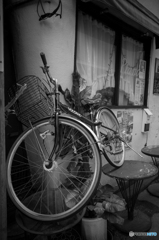 Noge Street Snap #17