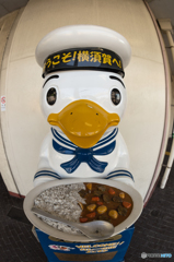観光大使